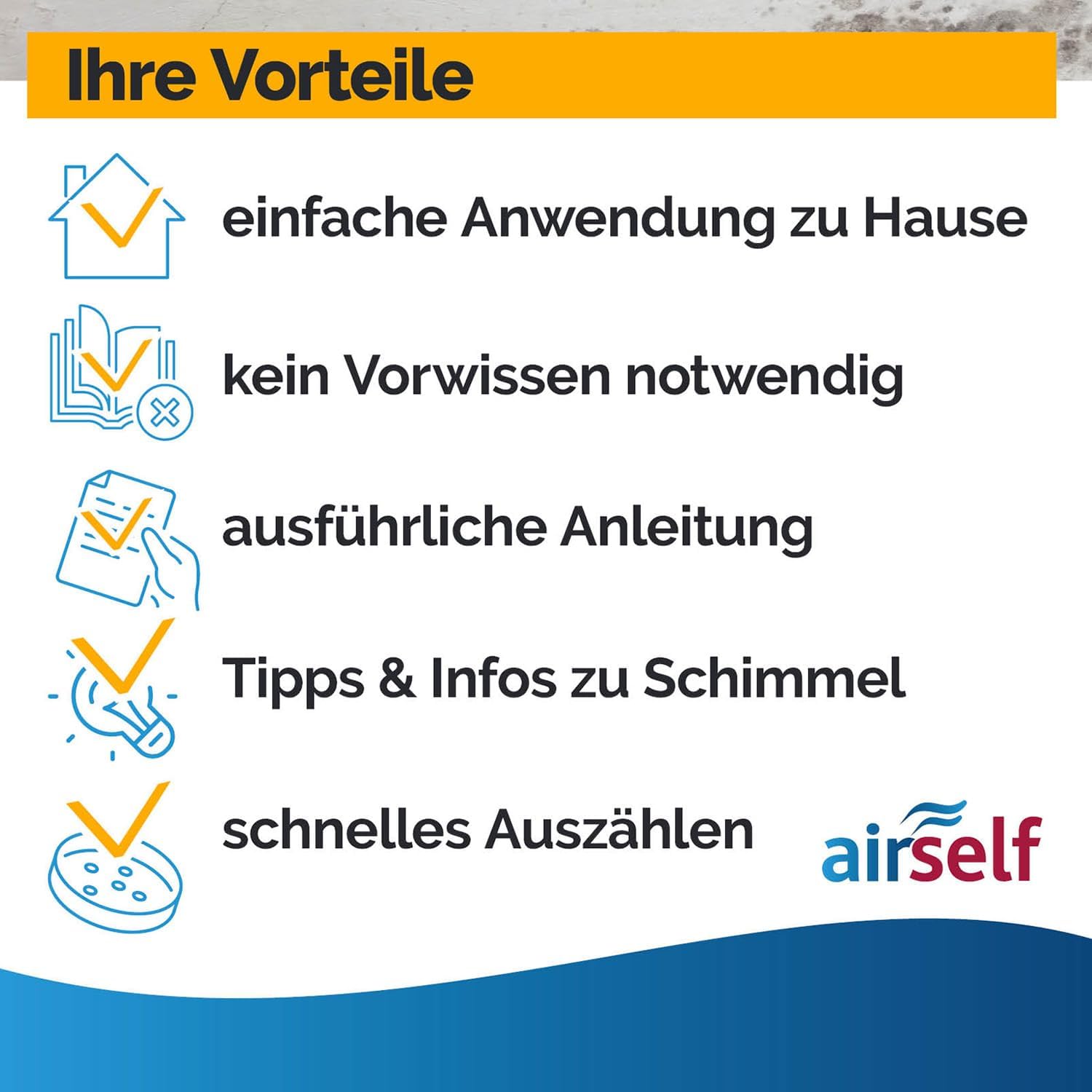 Schimmeltest – Bild 5