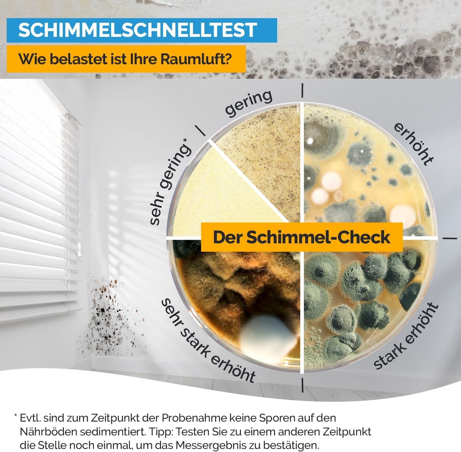 Schimmeltest – Bild 7
