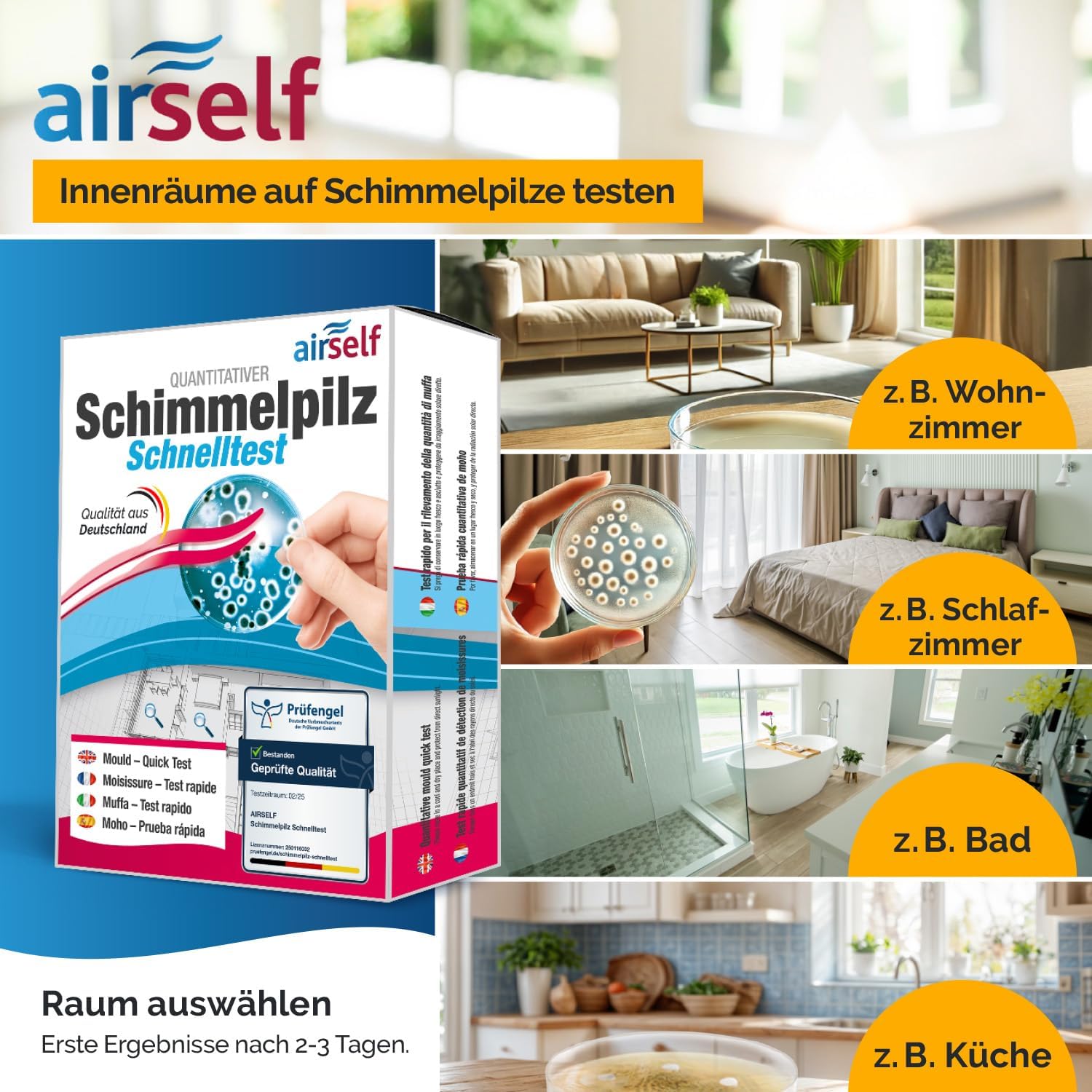 Schimmeltest-Kombipaket Passiver Schnelltest plus Schimmeltestlabor für bis zu 6 Räume – Bild 3