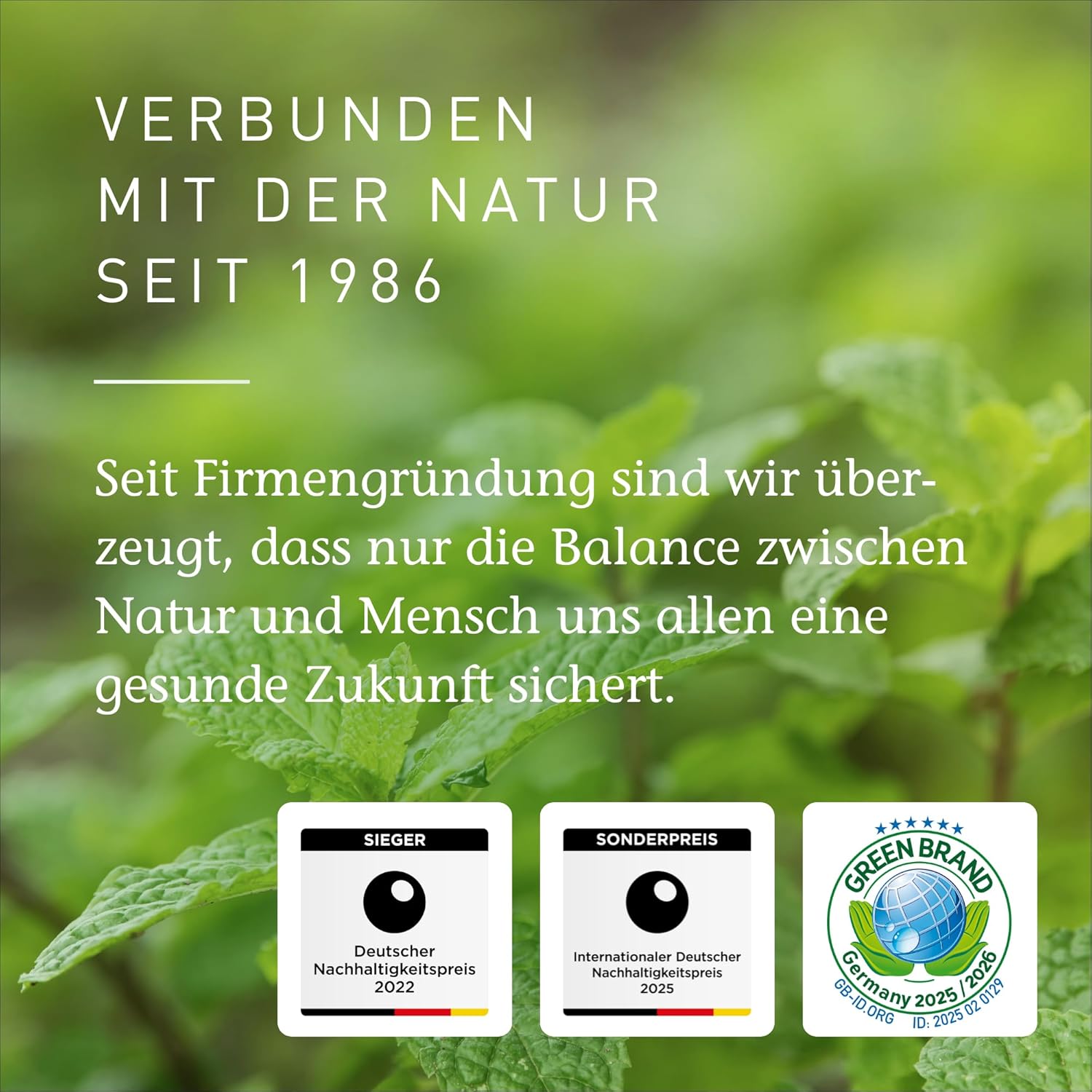 PRIMAVERA Duftmischung Waldspaziergang 5 ml – Riesentanne, Fichtennadeln und Vetiver – Aromaöl, Duftöl, ätherische Öl-Aromatherapie – belebend, revitalisierend – vegan – Bild 7