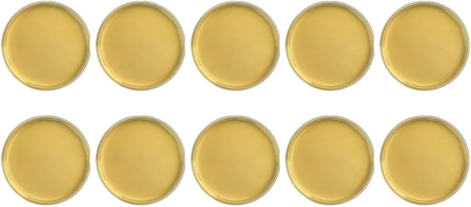 Schimmeltest-Kit für Zuhause mit 10 Tests, DIY Schimmelpilz-Detektor aus Agar und Kunststoff, 9 cm, zur Luftprüfung in HVAC-Systemen und Wohnräumen für Allergiker