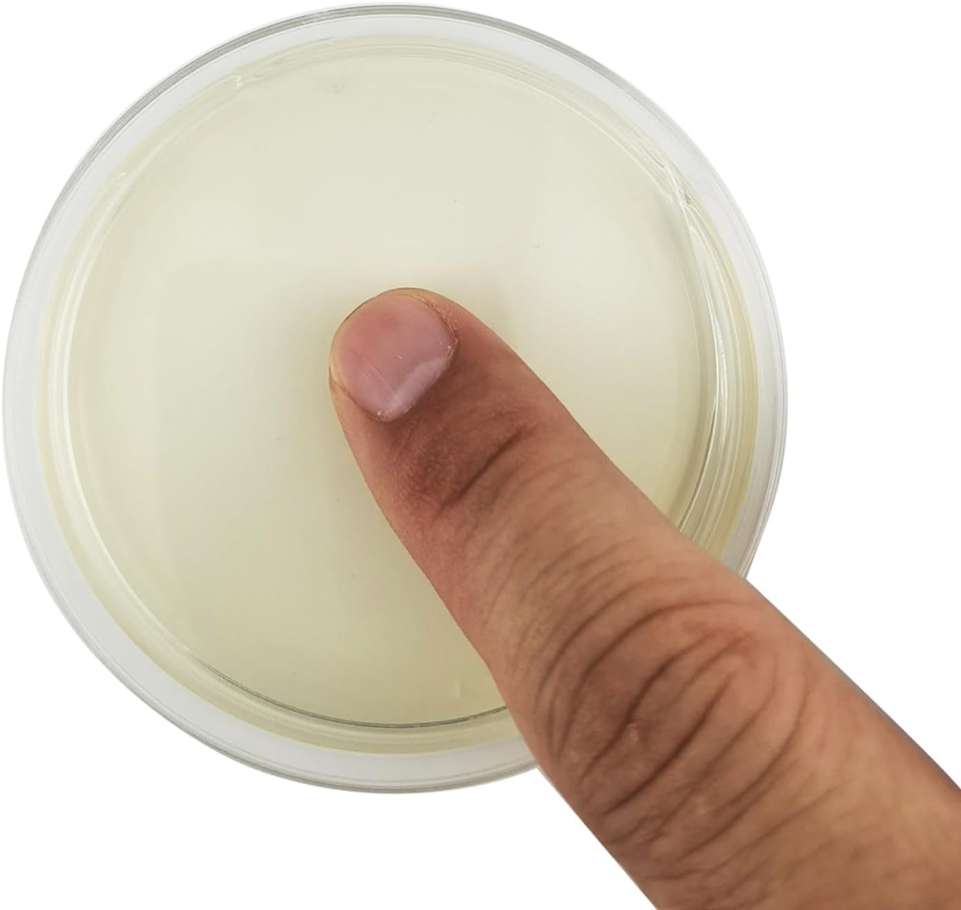 Schimmeltest-Kit für Zuhause mit 10 Tests, DIY Schimmelpilz-Detektor aus Agar und Kunststoff, 9 cm, zur Luftprüfung in HVAC-Systemen und Wohnräumen für Allergiker – Bild 5