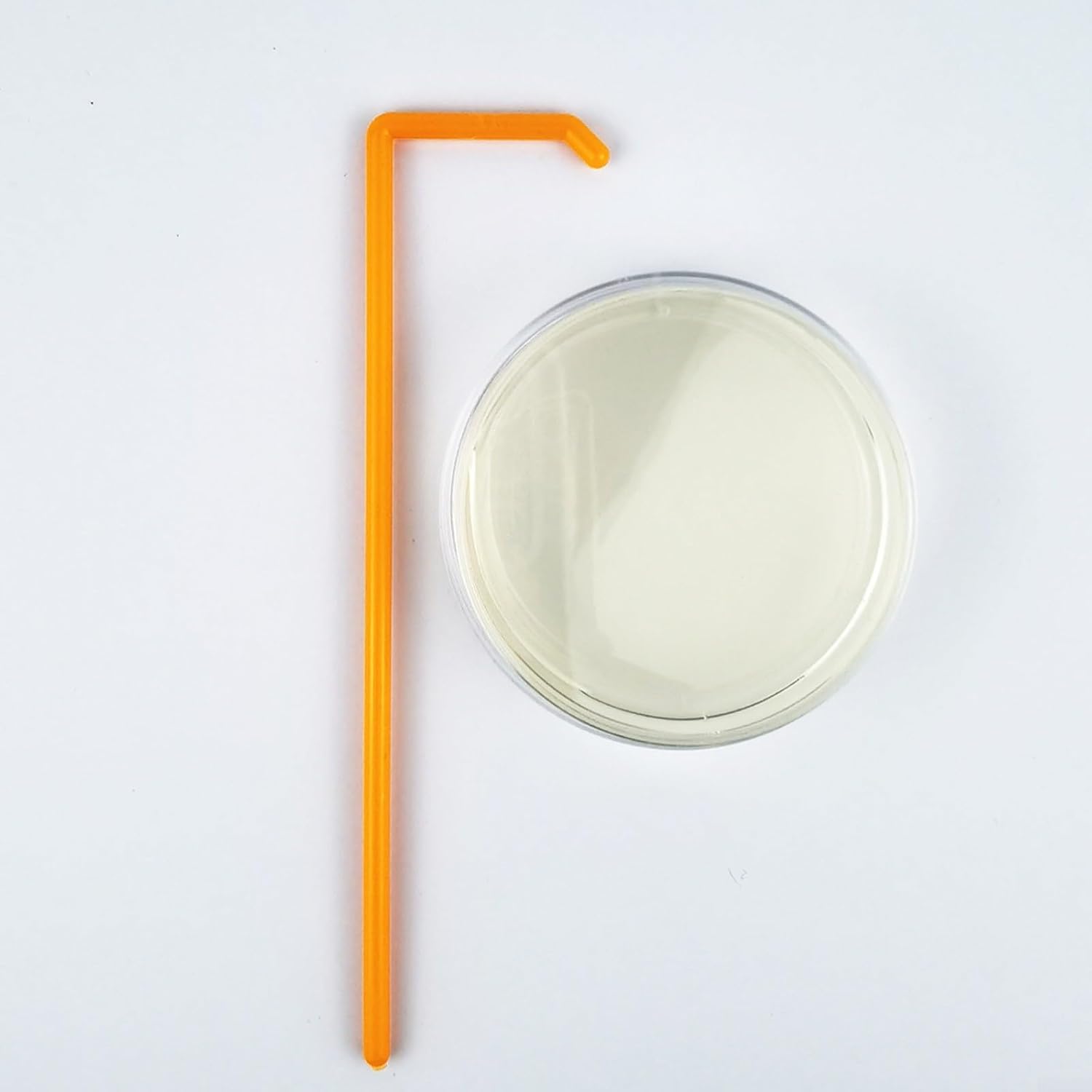 Schimmeltest-Kit für Zuhause mit 10 Tests, DIY Schimmelpilz-Detektor aus Agar und Kunststoff, 9 cm, zur Luftprüfung in HVAC-Systemen und Wohnräumen für Allergiker – Bild 8