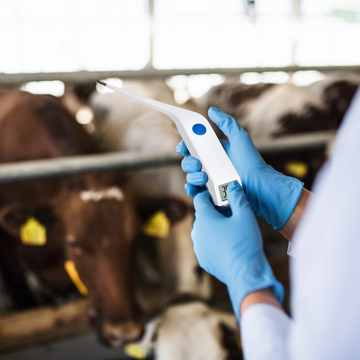 TFA Dostmann VET 112 Digitales Veterinärthermometer zur Fiebermessung bei Großtieren, IP67 wasserdicht, mit Messspeicher, weiß – Bild 3