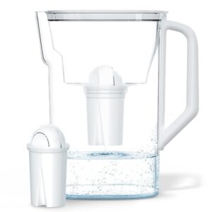 Wessper Wasserfilterkanne 2,7 L kom...