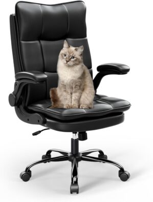 Ergonomischer Bürostuhl, Chefsesse...