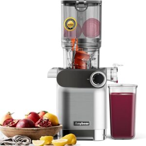 Anybear Entsafter 200 W Slow Juicer...