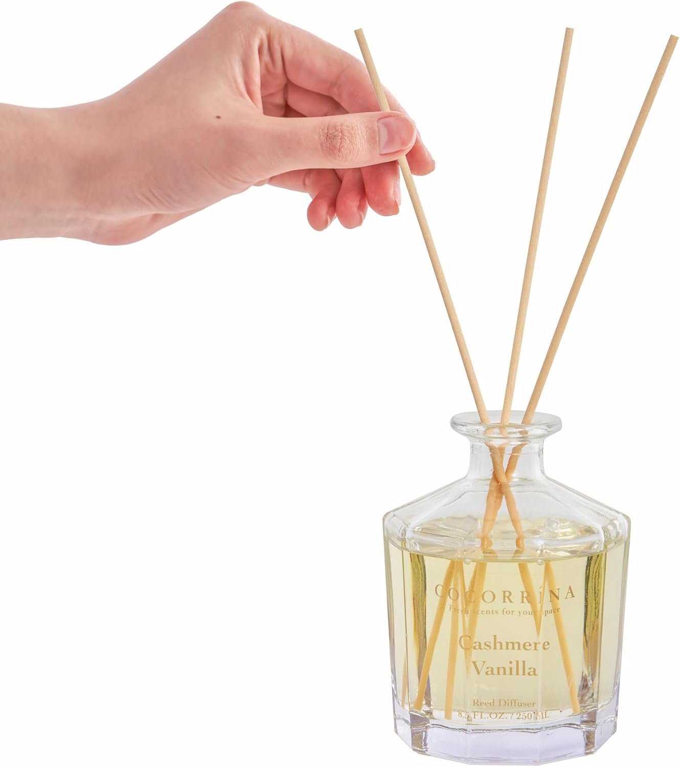 Cocorrína Blumen-Raumduft mit 8 Duftstäbchen, 250 ml, Kaschmir-Vanille, natürlich, langlebig, Schilfrohr-Diffusor für Zuhause, Schlafzimmer, Büro, Badezimmer, Regaldekoration (Master Collection) – Bild 3