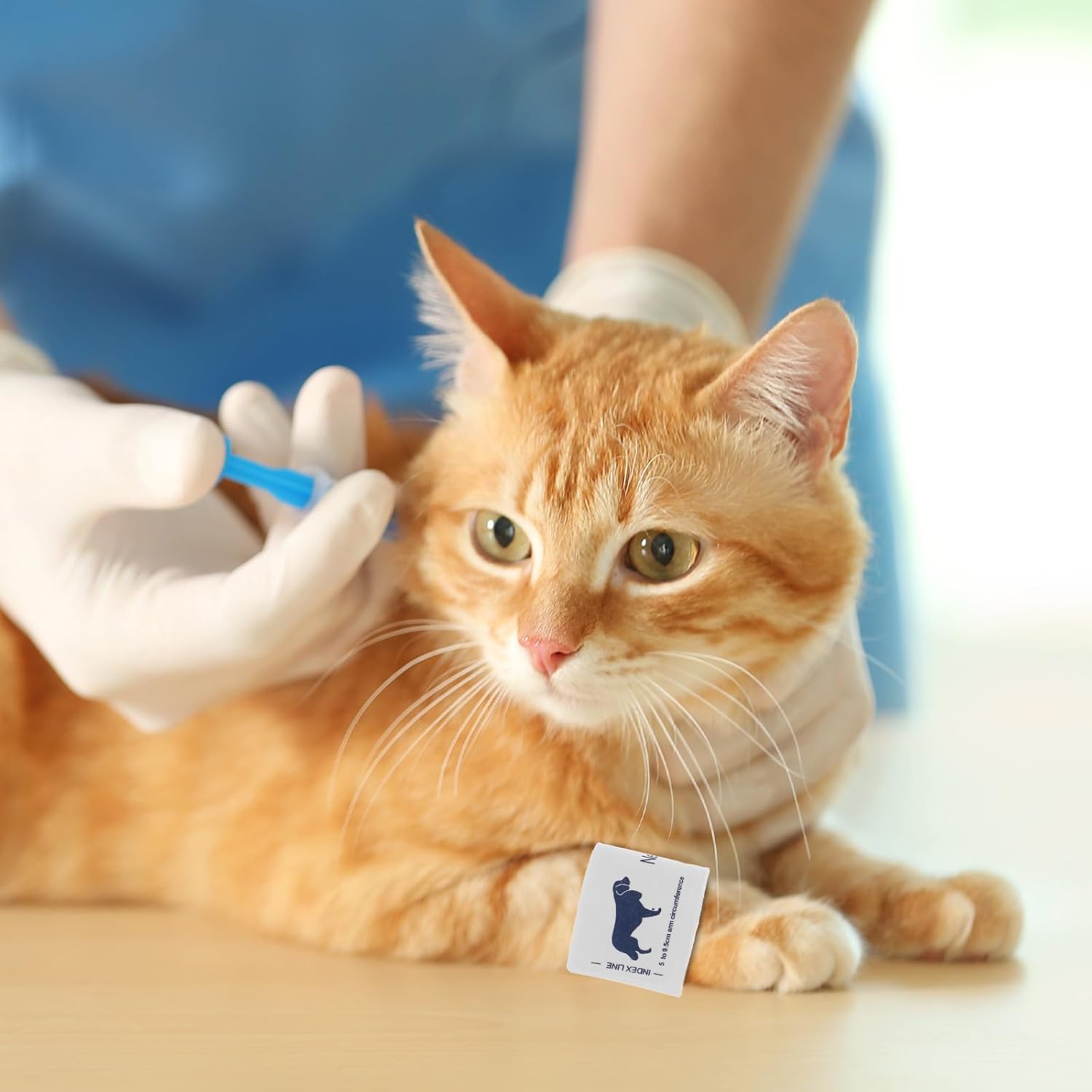 Blutzuckermessgerät für Katzen mit tragbarer Manschette aus Vliesstoff. Bequeme und Zuverlässige Ersatzmanschette für Tierarztbedarf und Haustierbesitzer – Bild 4