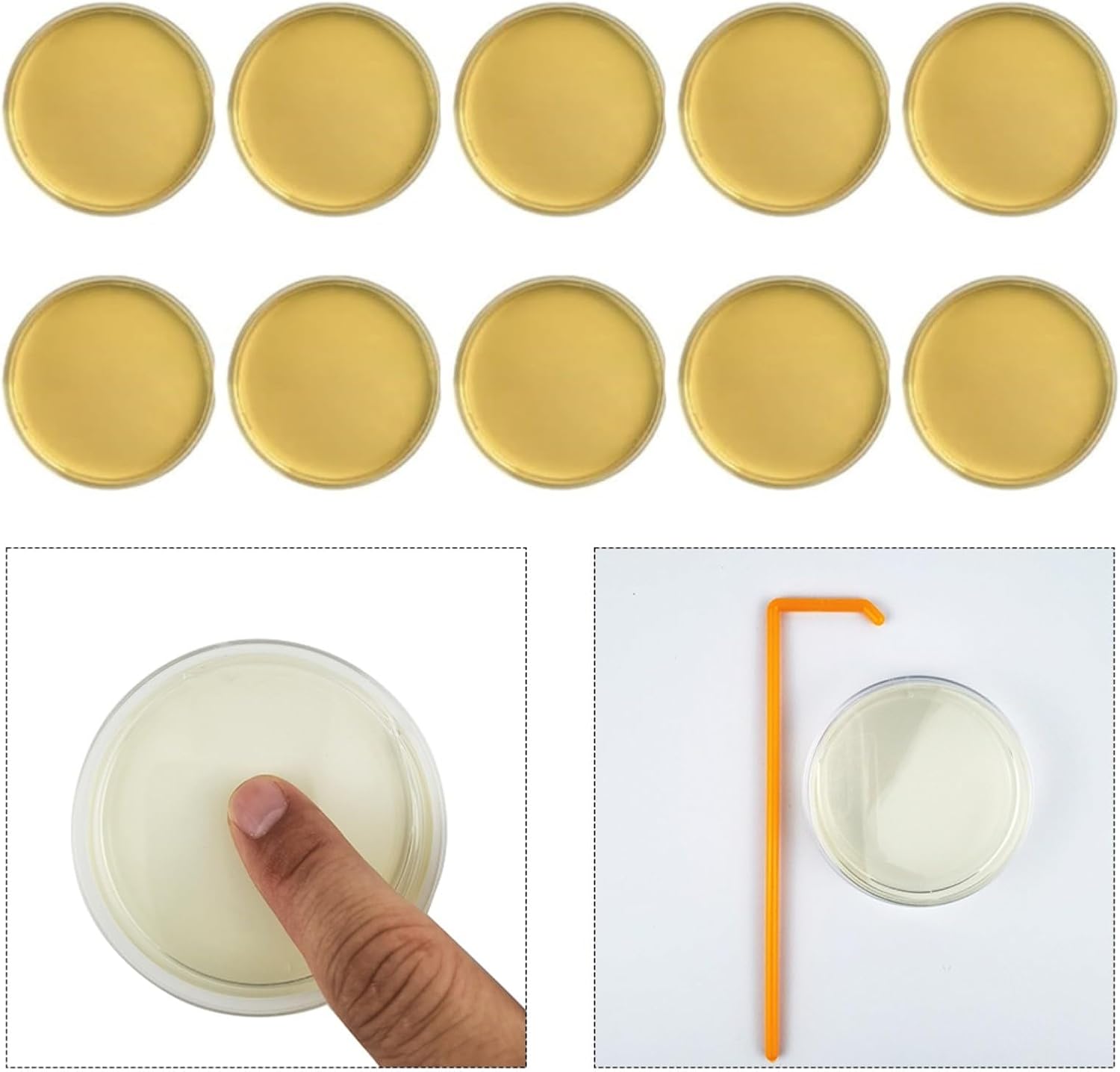 Schimmeltest-Kit für Zuhause mit 10 Tests, DIY Schimmelpilz-Detektor aus Agar und Kunststoff, 9 cm, zur Luftprüfung in HVAC-Systemen und Wohnräumen für Allergiker – Bild 2