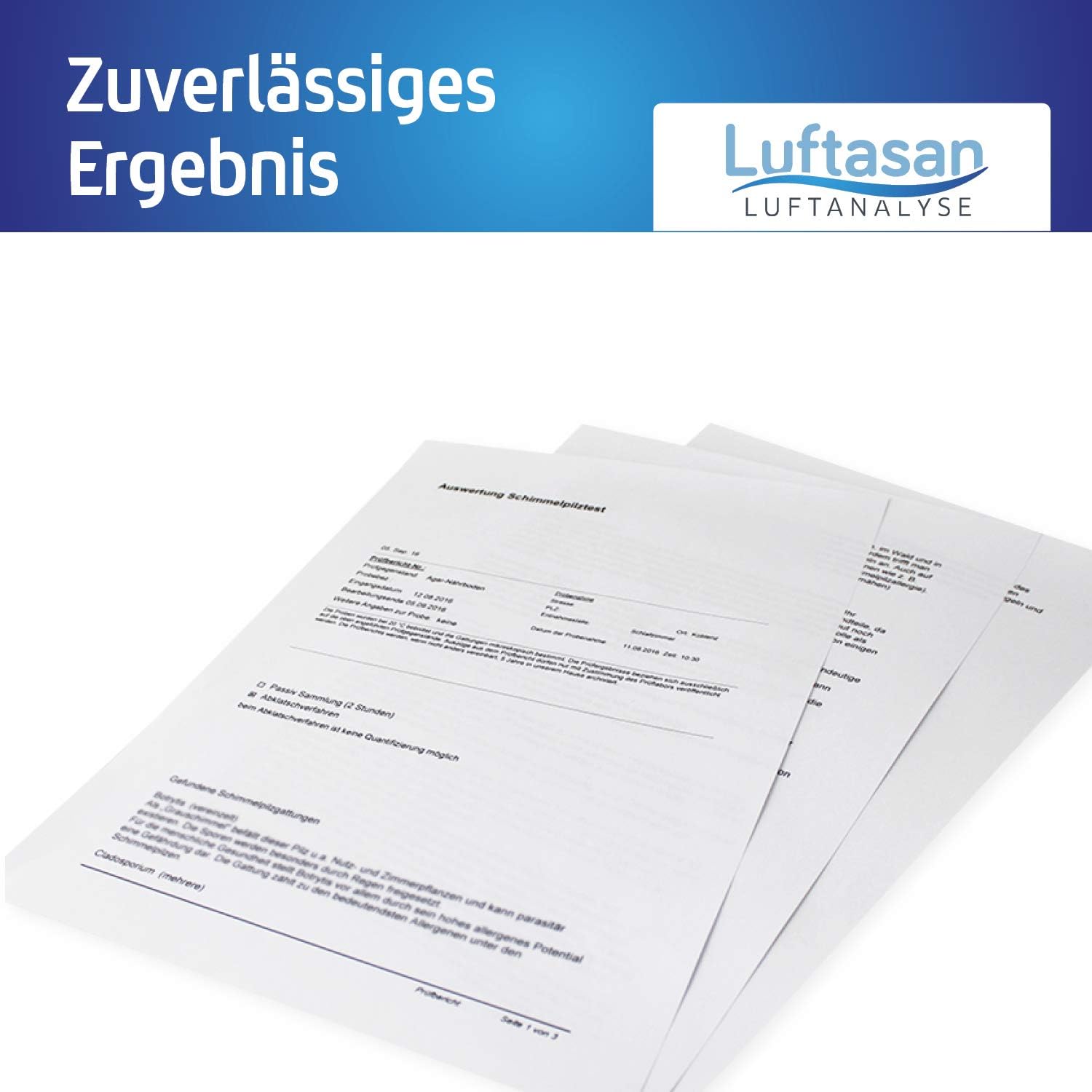 Schimmeltest Wandklatschentest – Probenahmeset und professionelle Laboranalyse – Bild 4