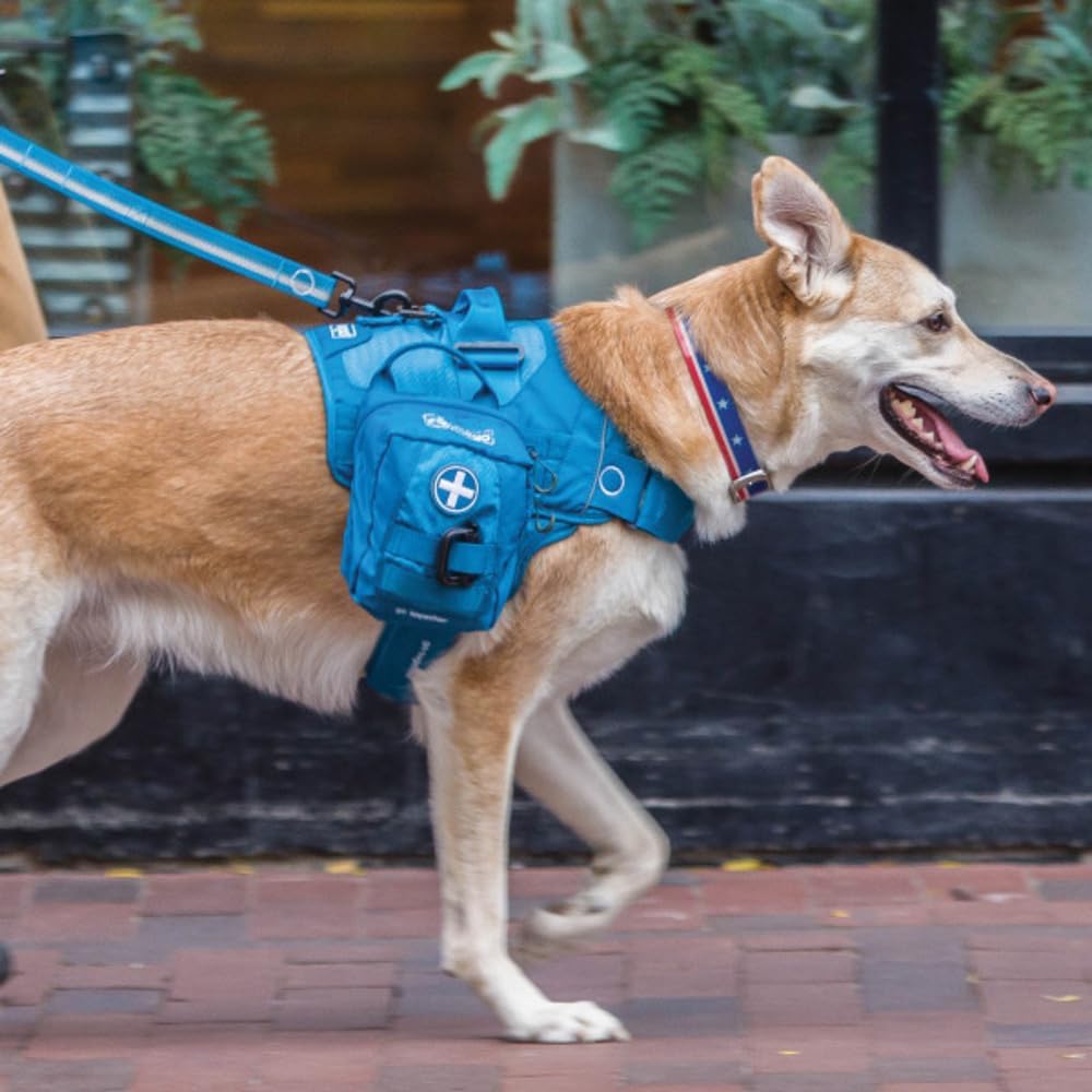 Kurgo RSG Erste-Hilfe-Set für Hunde – kompaktes Notfall-Erste-Hilfe-Set – 49-teilig – MOLLE-kompatibel – Haustier-Überlebensset – Auto- und Wanderzubehör – schneller Zugriff – Bild 7