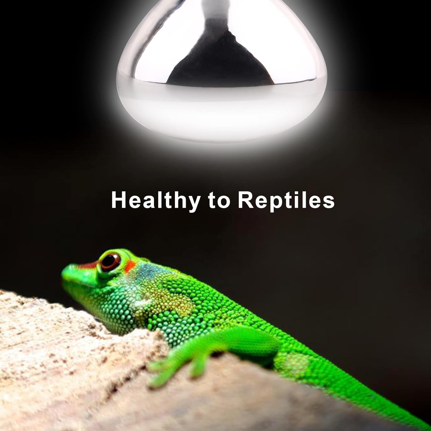 DERNORD UVA UVB Wärmelampe, UV-Lichtlampe, 100 Watt, für Schildkrötenhaus, Gecko, Bartagamen, Terrarium, Solarstrahler, Vollspektrum, Tageslichtlampe, E27-Fassung – Bild 4