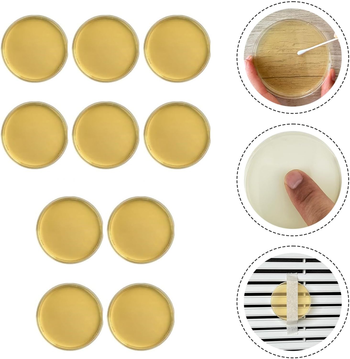 Schimmeltest-Kit für Zuhause mit 10 Tests, DIY Schimmelpilz-Detektor aus Agar und Kunststoff, 9 cm, zur Luftprüfung in HVAC-Systemen und Wohnräumen für Allergiker – Bild 3