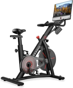 YESOUL G1M Plus Heimtrainer, Ergome...
