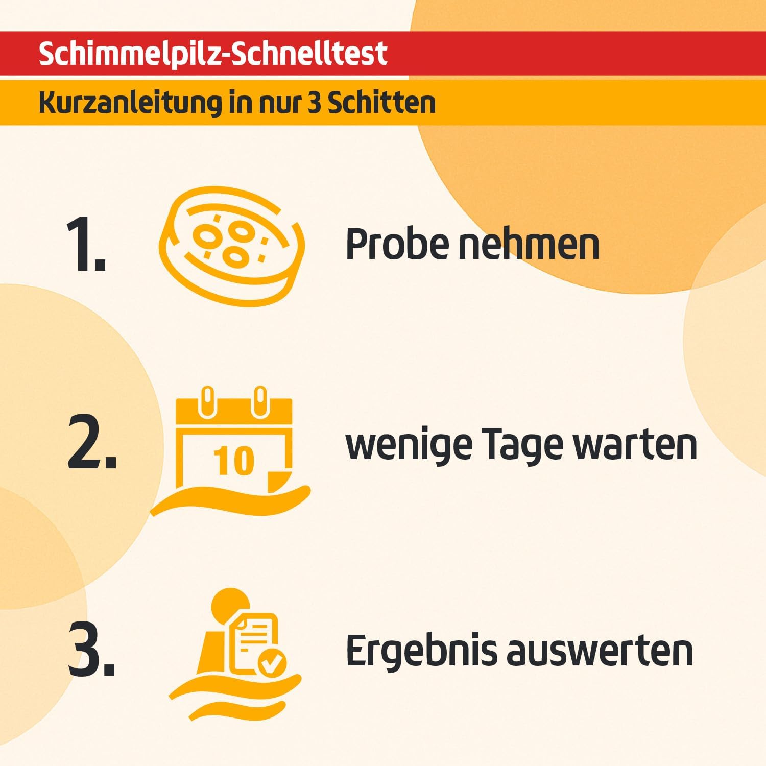 Schimmeltest mit 10 Nährböden, Schimmel-Schnelltest zur Bestimmung von Schimmelpilzsporen in der Luft – Bild 4