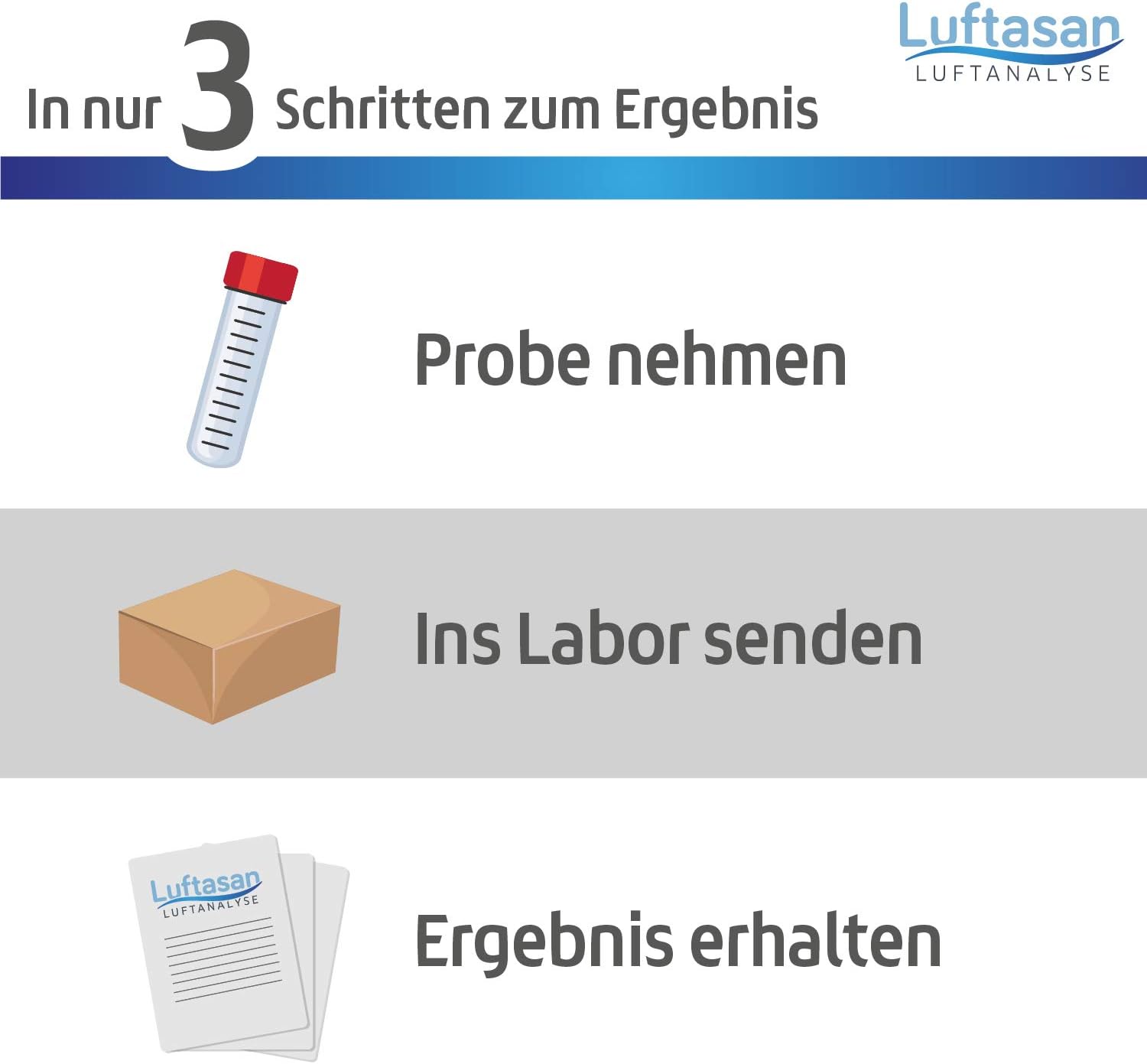 Schimmeltest Wandklatschentest – Probenahmeset und professionelle Laboranalyse – Bild 2