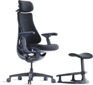 LiberNovo Ergonomischer Bürostuhl ...