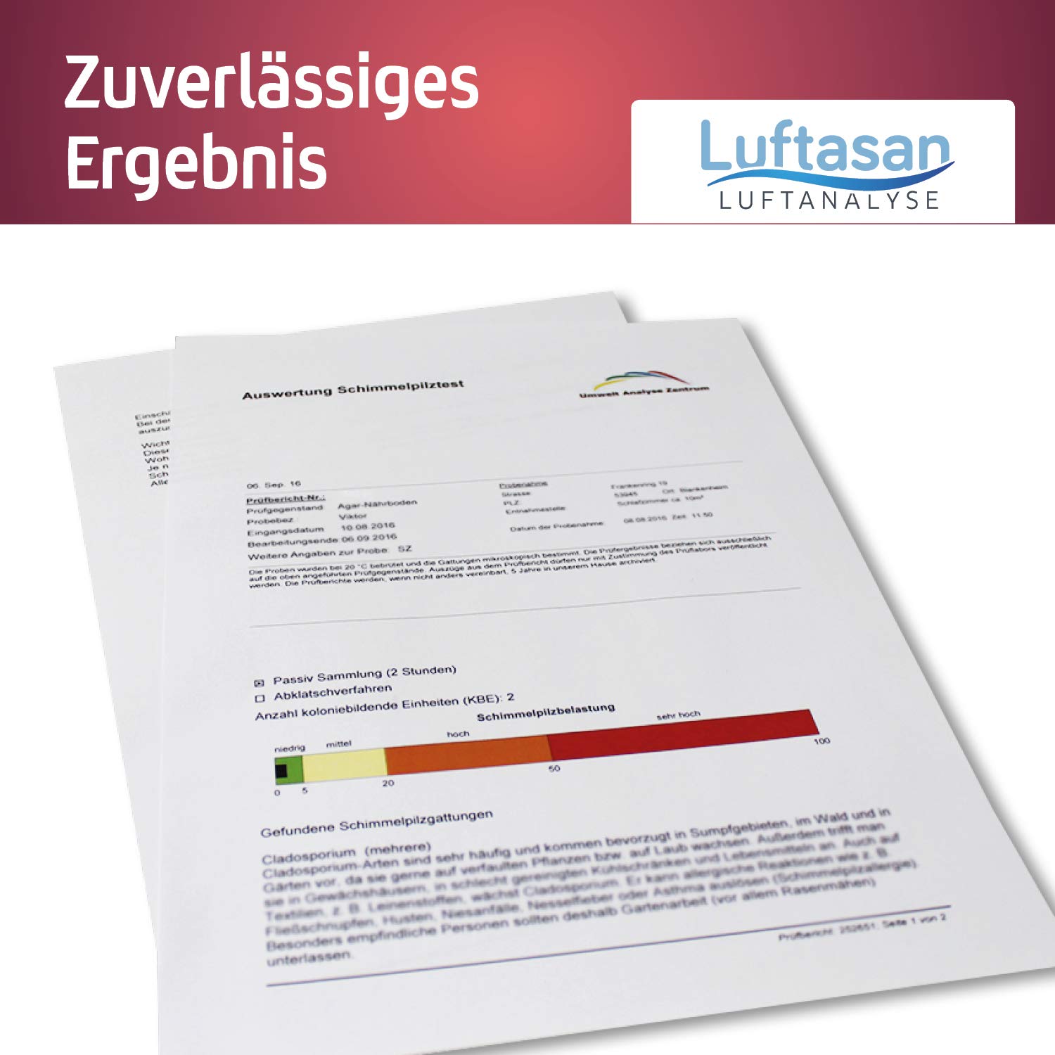 Schimmeltest für Raumluft – Probenahmeset für die professionelle Analyse im Fachlabor – Bild 3