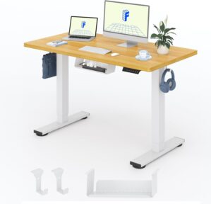 FLEXISPOT Basic höhenverstellbarer...