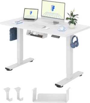 FLEXISPOT Basic höhenverstellbarer...