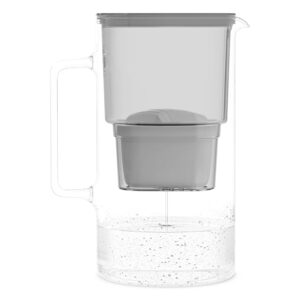 Wessper Wasserfilterkanne aus Glas,...