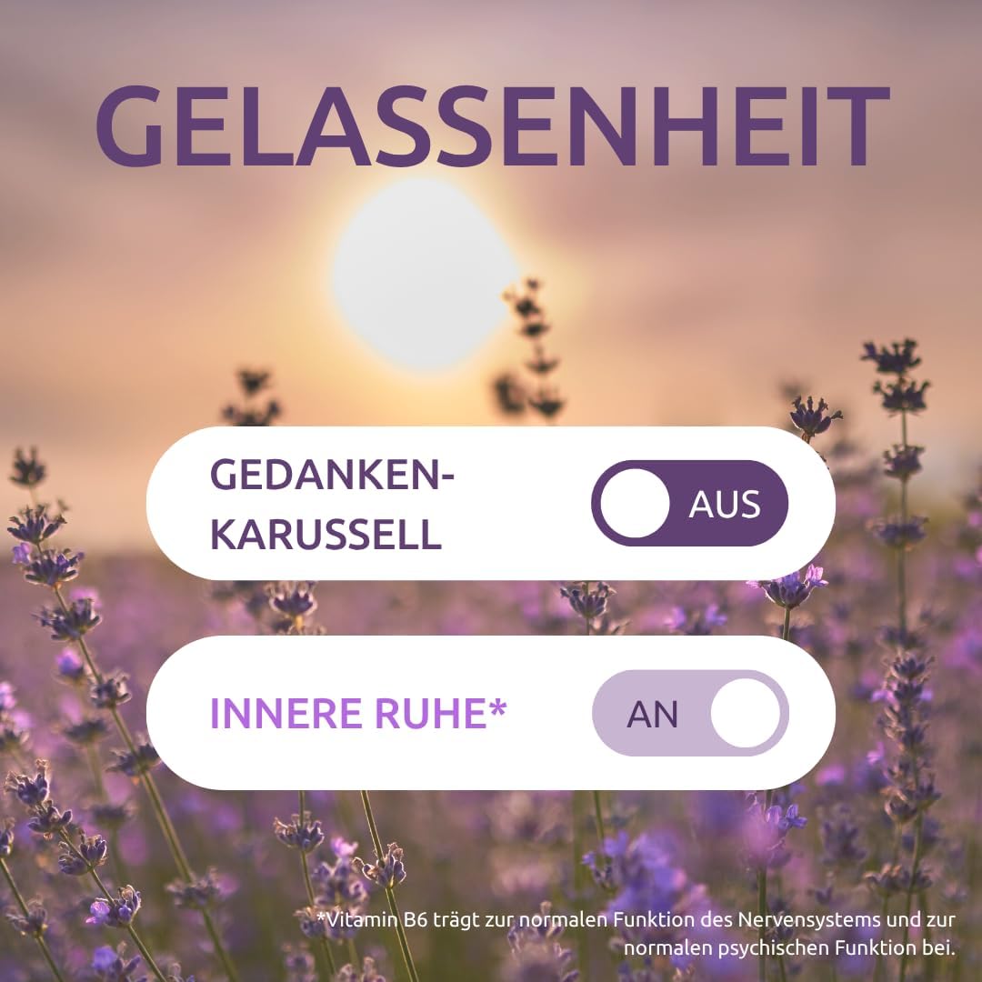 Dr. Theiss Innere Ruhe – bei Stress und Hektik – bei nervöser Unruhe – ohne Gewöhnungseffekt – 30 Tabletten – Bild 6
