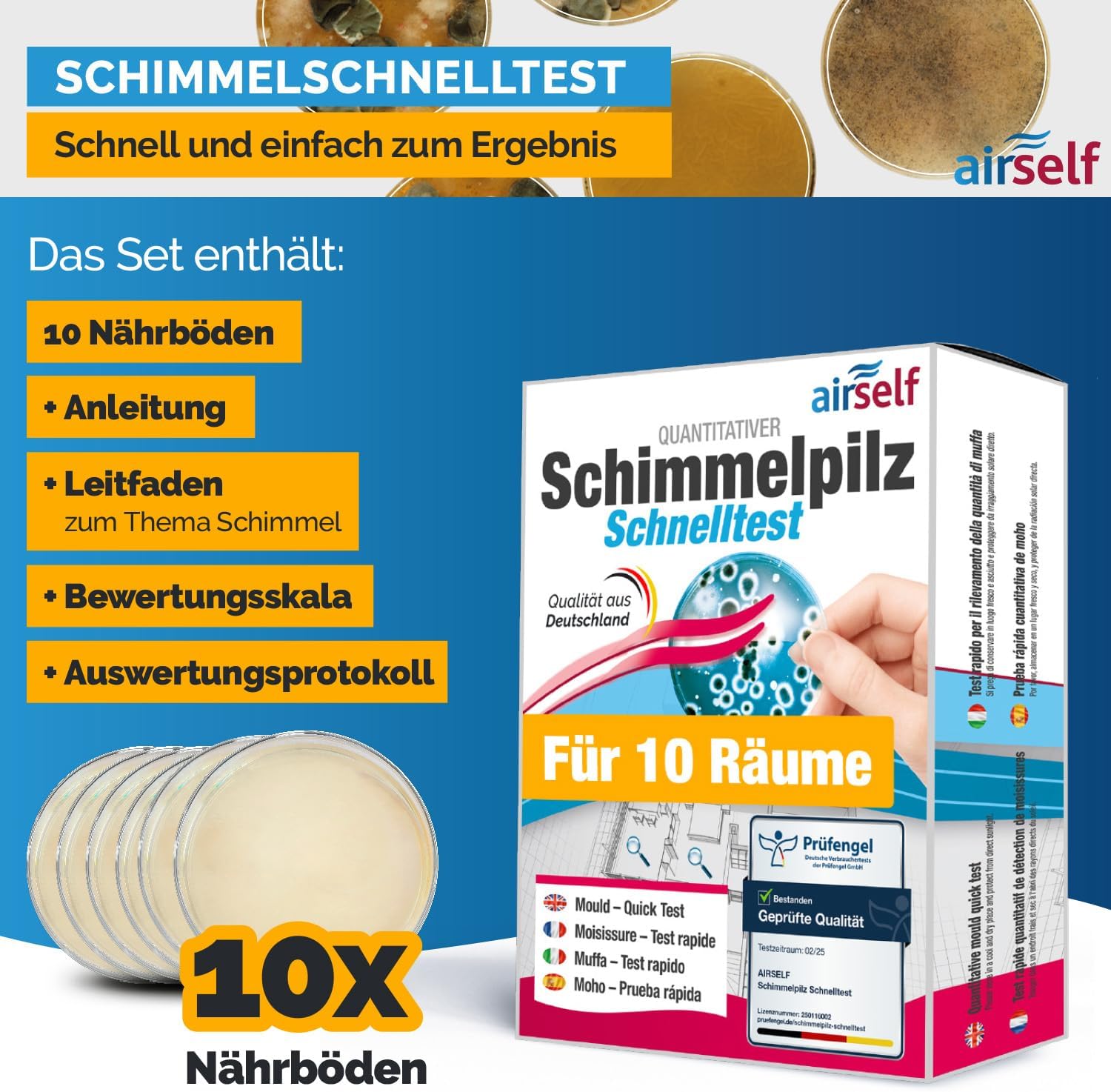 Schimmeltest – Bild 2