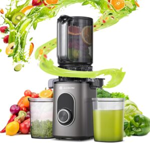AAOBOSI SlowJuicer für Gemüse und...