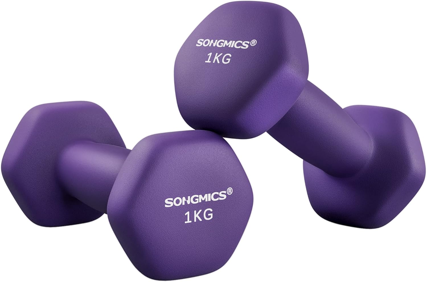 SONGMICS Hanteln 2er Set Hanteln Set Hanteln Hexagon Neoprenbeschichtung Krafttraining Workout Fitness Training Zuhause