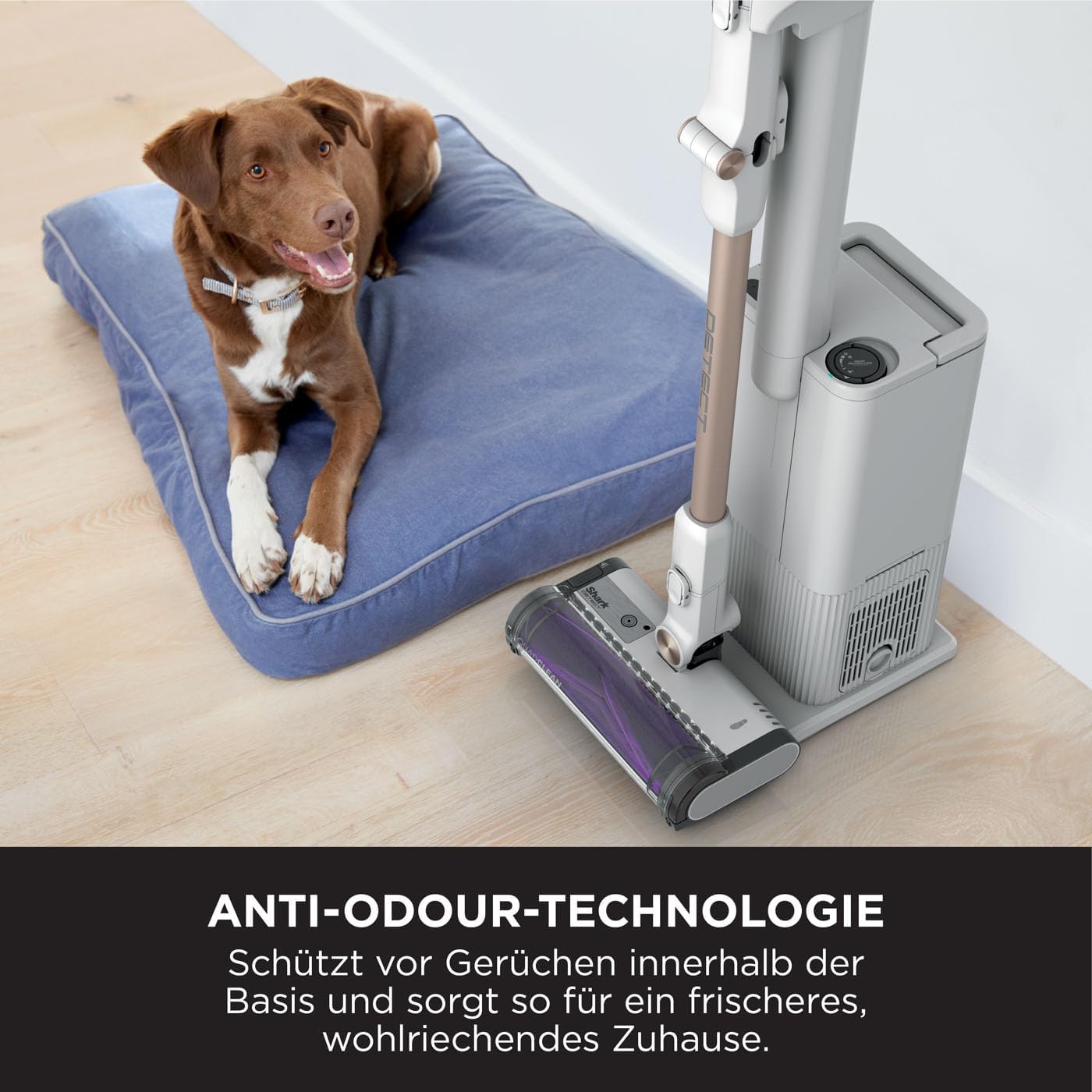 Shark Detect Clean & Empty Akku-Staubsauger, leistungsstarke Saugkraft mit DirtDetect-Technologie, selbstentleerende 2-Liter-Basisstation, 60 Minuten Laufzeit, Anti-Haarwickel, Staubfugendüse, weiß IW3612EU – Bild 5