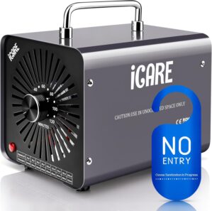 ICARE Ozongenerator 30.000 mg/h Ozo...