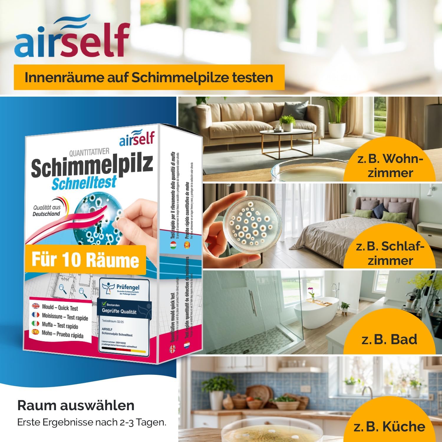 Schimmeltest – Bild 3