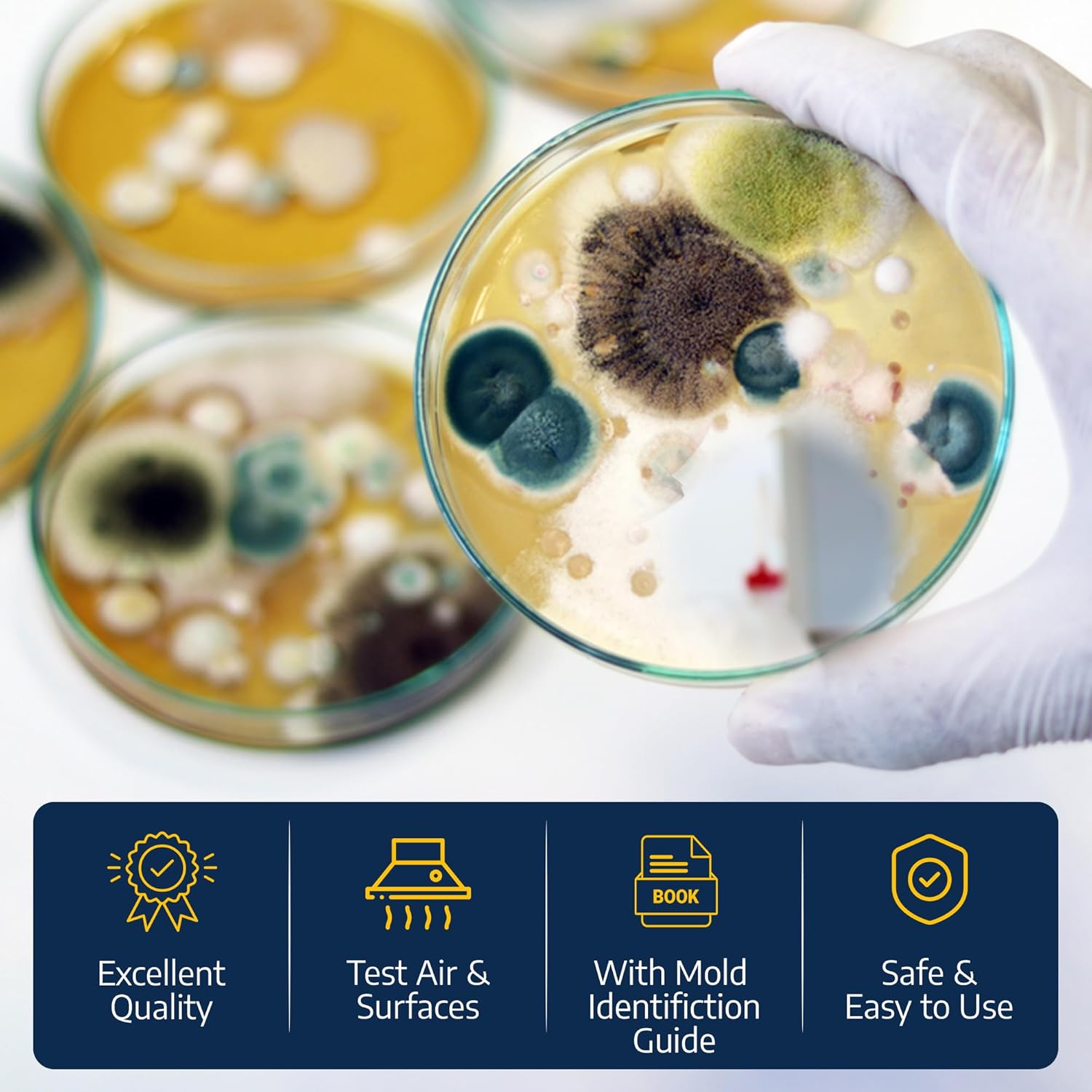 Schimmeltest-Set für zu Hause in 10 Tests mit Bestimmungsbuch – Bild 4