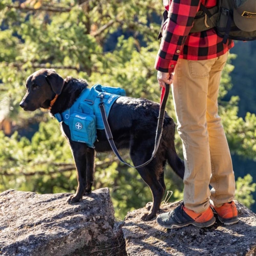 Kurgo RSG Erste-Hilfe-Set für Hunde – kompaktes Notfall-Erste-Hilfe-Set – 49-teilig – MOLLE-kompatibel – Haustier-Überlebensset – Auto- und Wanderzubehör – schneller Zugriff – Bild 4