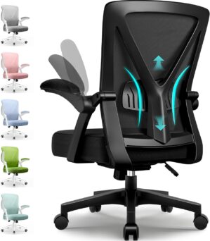 Ergonomischer Bürostuhl, Schreibti...