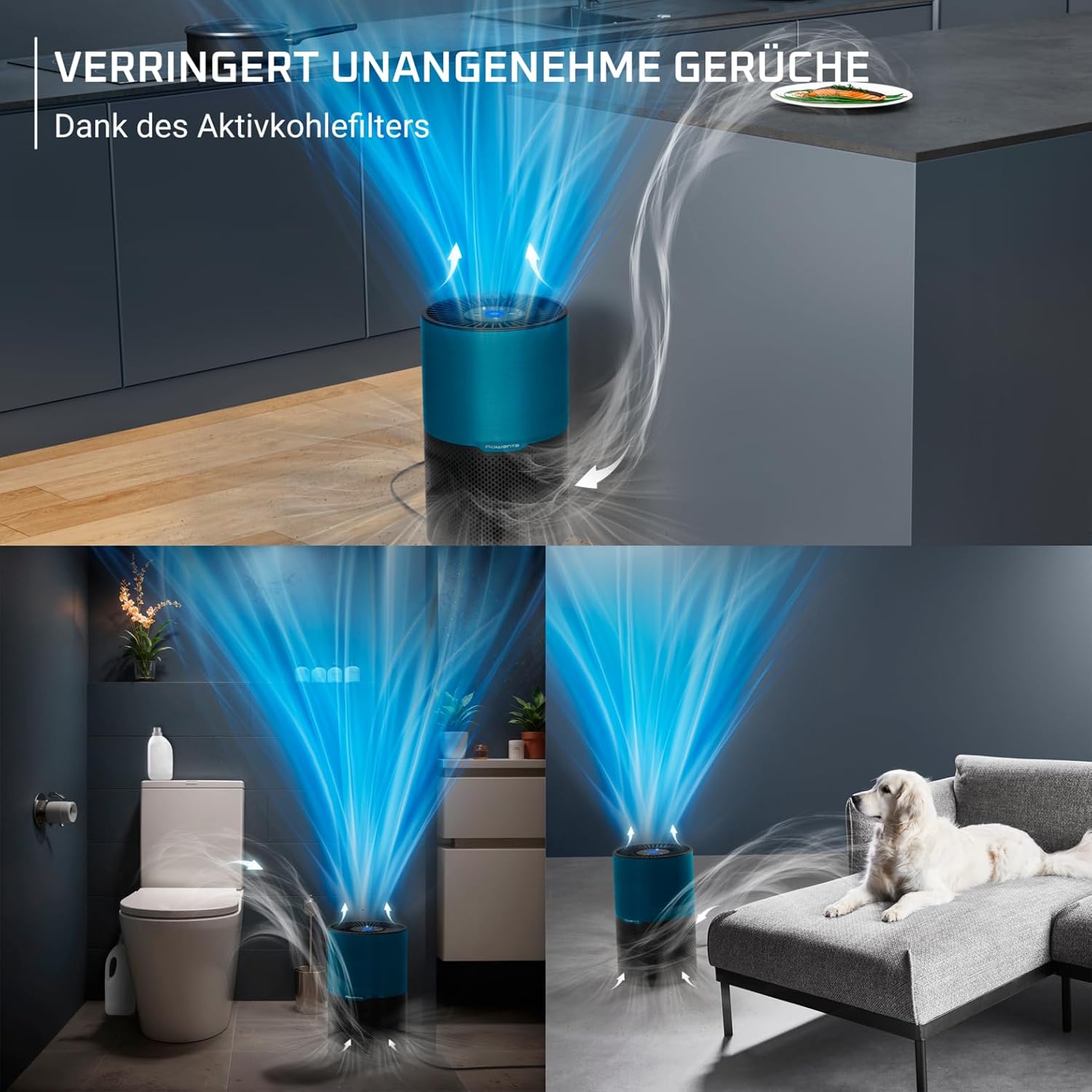 Rowenta PU2221F0 Pure Air Kompakter Luftreiniger für Zuhause, hocheffiziente Luftreinigung, bis zu 52 m², 3-in-1-Filterung, HEPA Allergy+, Echtzeit-Luftqualitätsanzeige, Schwarz/Blau – Bild 6