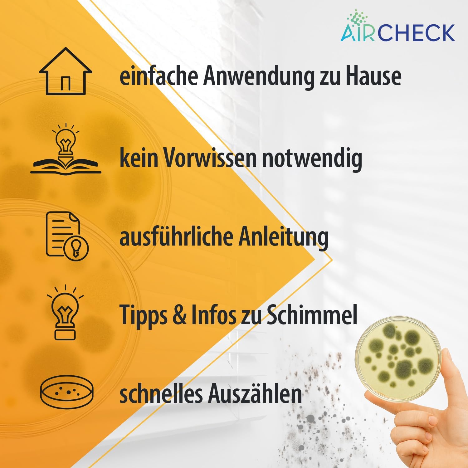 Schimmel-Schnelltest, 10 Nährmedien für mehrere Räume, Schimmeltest für zu Hause, hergestellt in Deutschland, inklusive Anleitung und Auswerteprotokoll – Bild 6