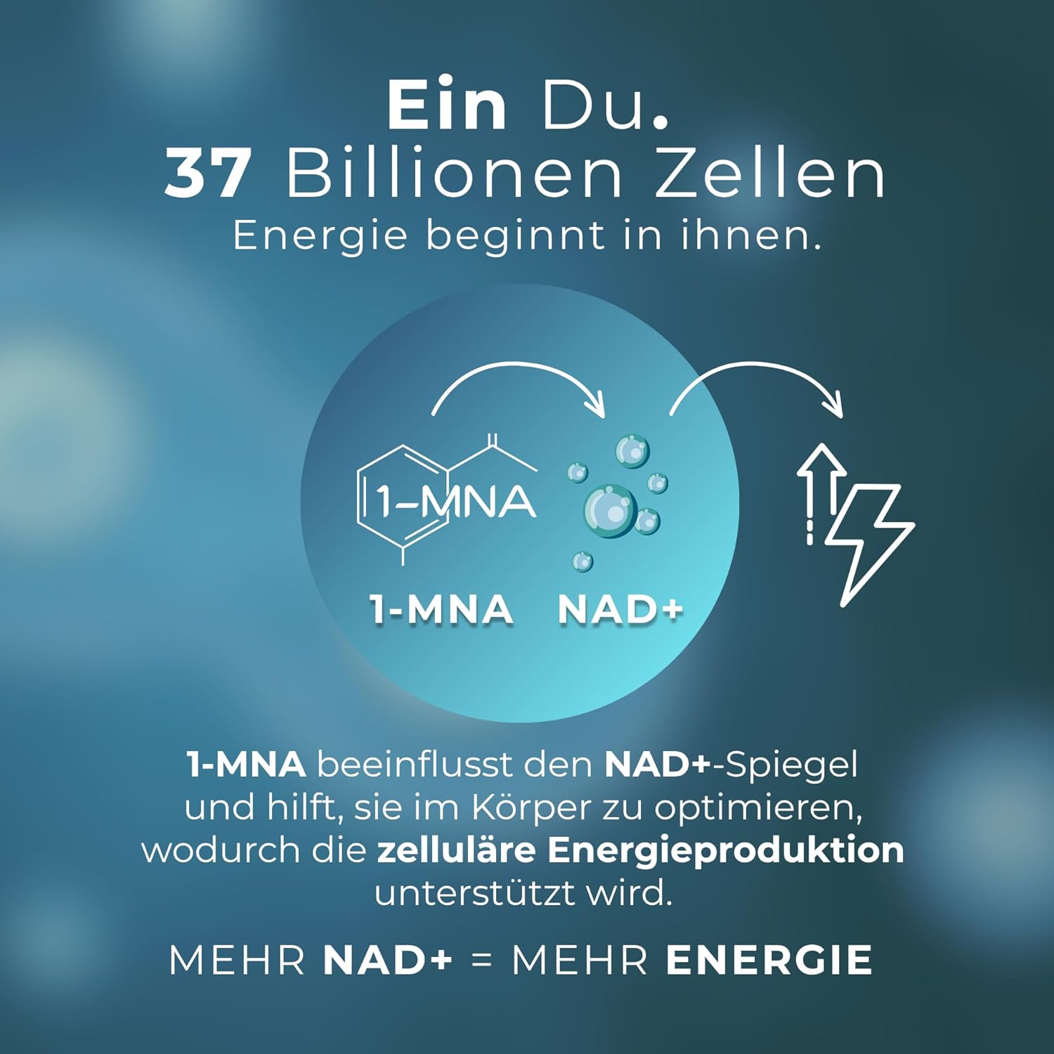 1-MNA, optimierendes NAD+, Anti-Aging, Biohacking-Ergänzung, Sirtuin-Aktivator, Unterstützung der Zellgesundheit, 30 Kapseln – Bild 3