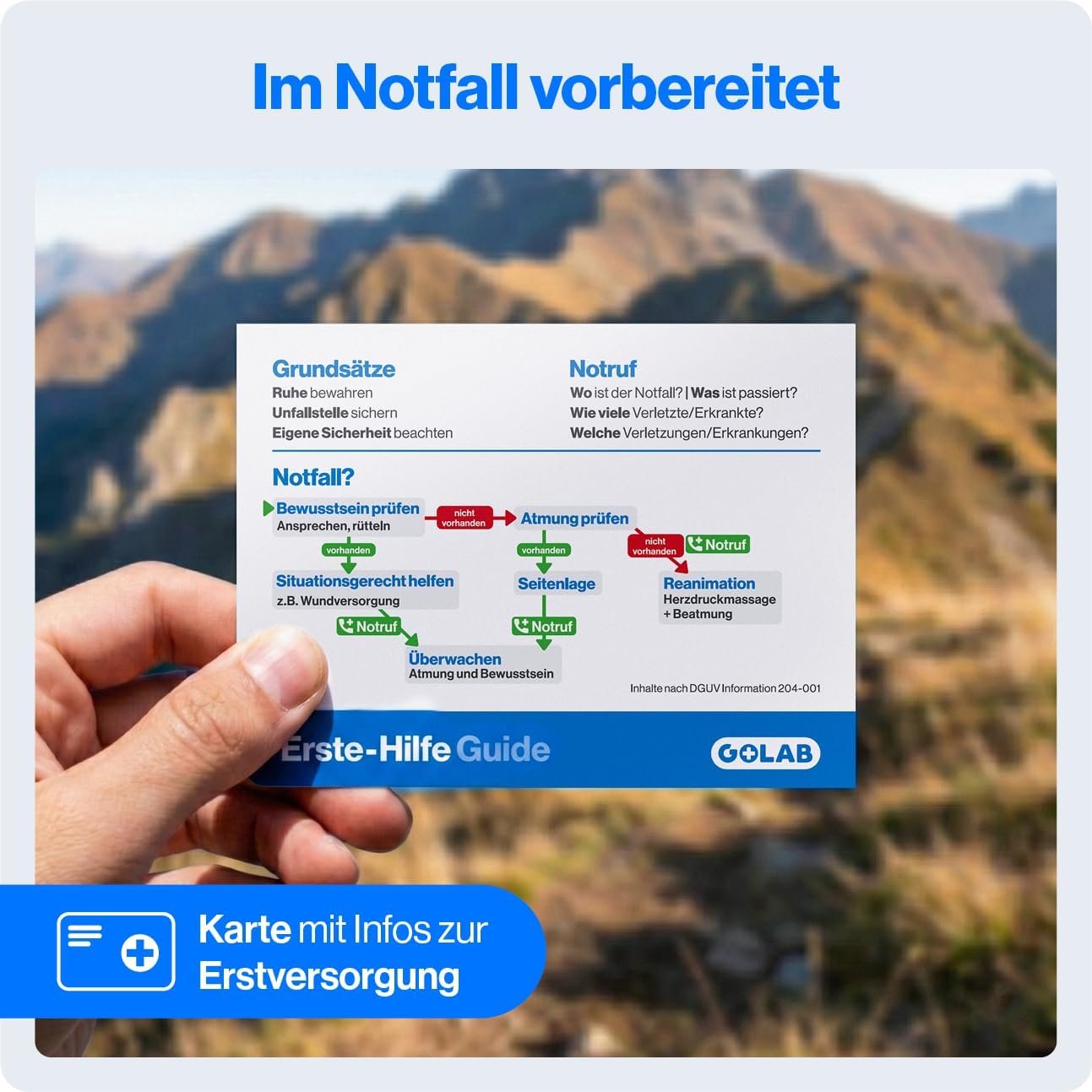 GoLab Mini Erste-Hilfe-Set mit 46 Teilen – Kompaktes Notfallset für Zuhause, Outdoor, Reisen, Camping & Sport – Erste-Hilfe-Ratgeber nach DGUV, geordnet in 3 Fächern 195 g, DIN-konforme Reiseapotheke – Bild 7