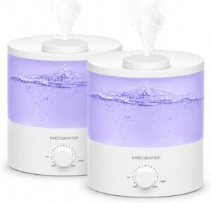 H1-XIT 2 Stück 2L Cool Mist Luftbe...