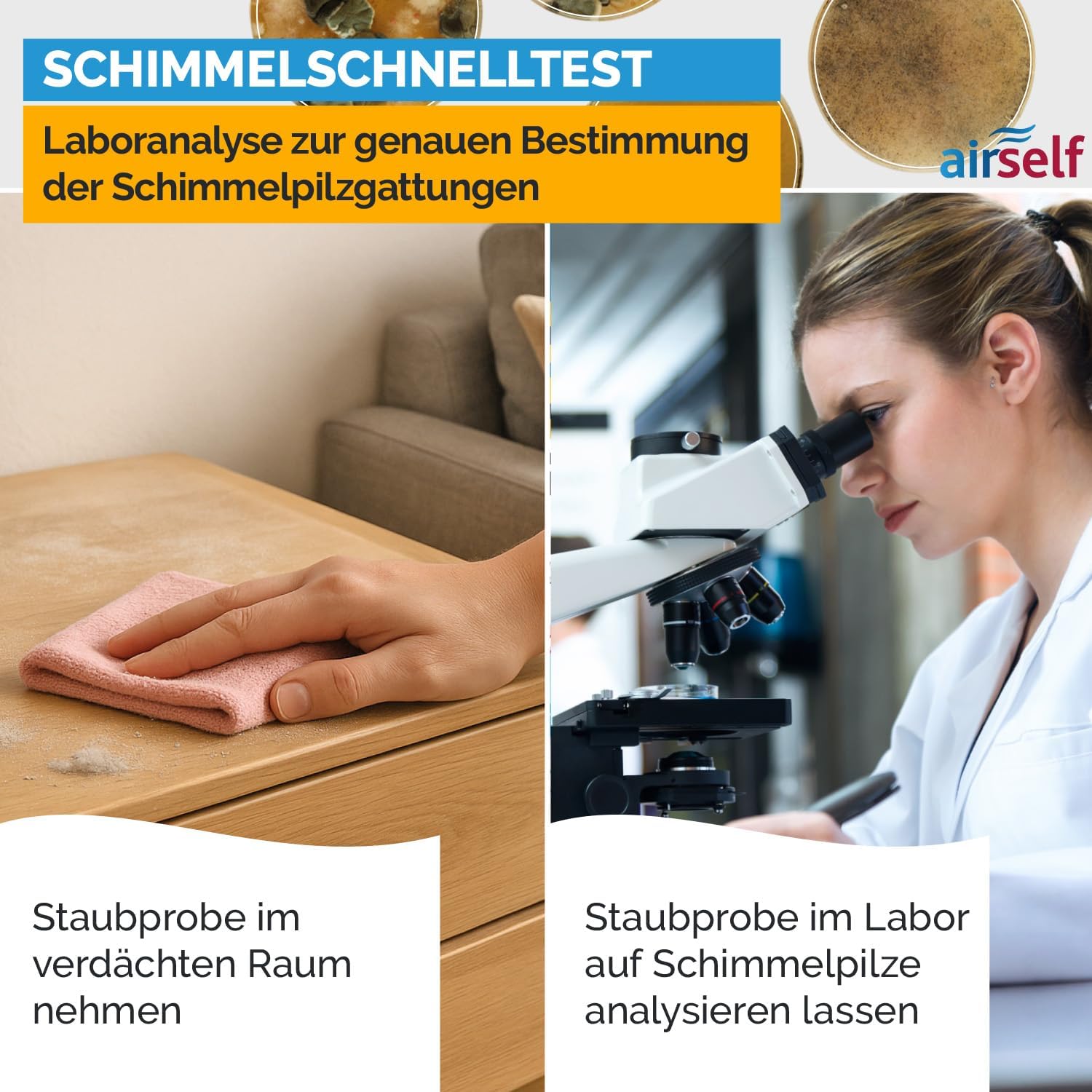Schimmeltest-Kombipaket Passiver Schnelltest plus Schimmeltestlabor für bis zu 6 Räume – Bild 5