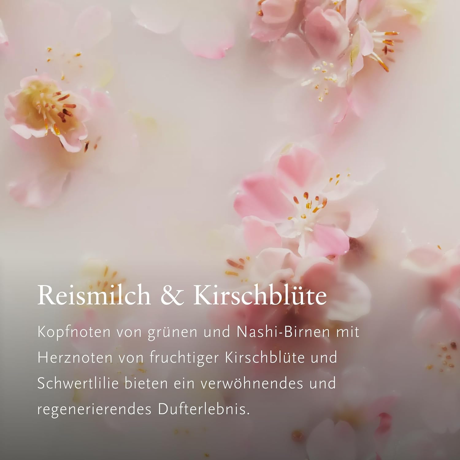 RITUALS The Ritual of Sakura Kleines Geschenkset – Vier Kirschblüten- und Reismilch-Hautpflegeprodukte – Bade-Geschenkbox für ein belebendes Pflegeerlebnis – Bild 4
