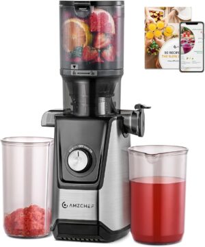 AMZCHEF Slow Juicer Entsafter mit 1...