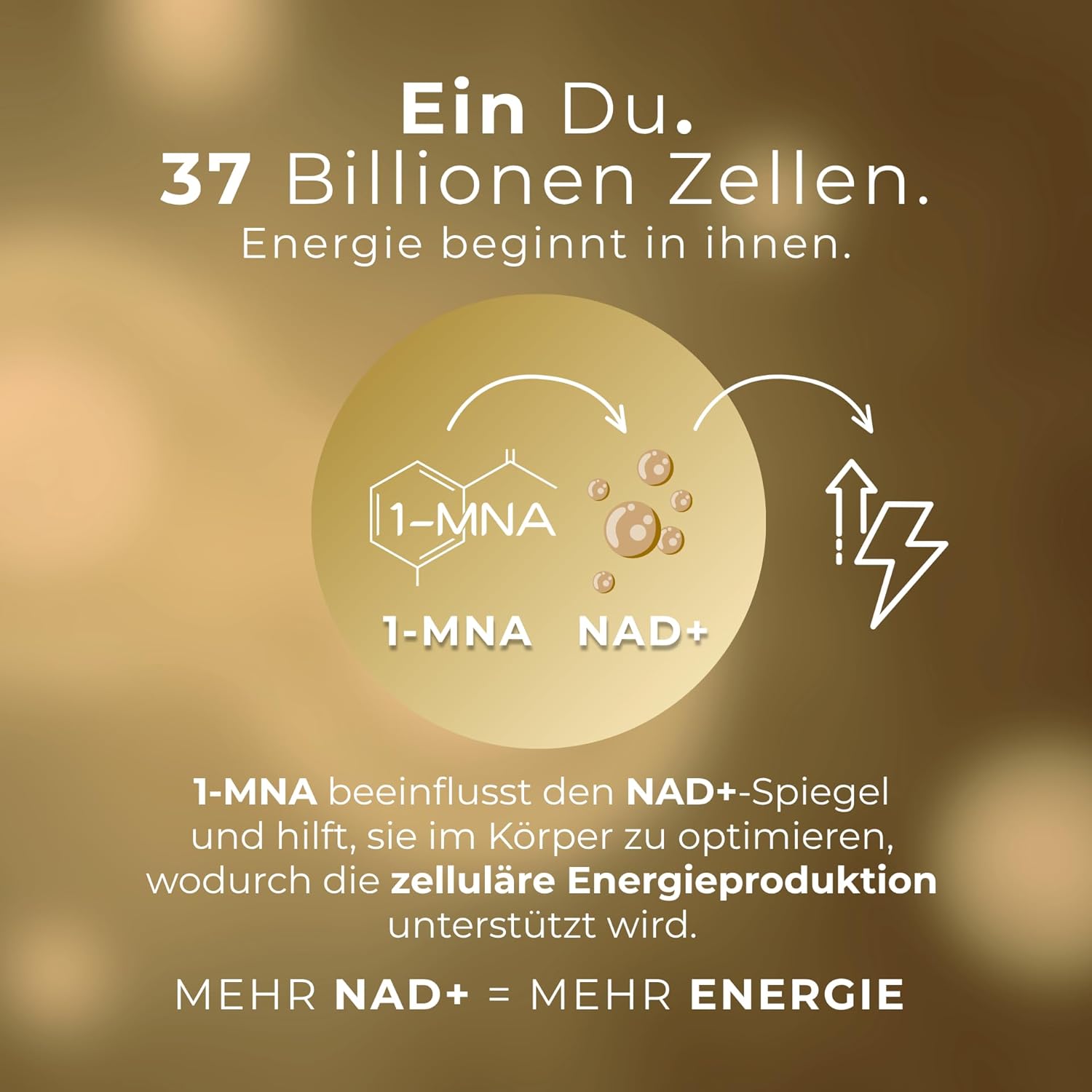 1-MNA PRO, optimierendes NAD+, Sirtuin-Aktivator, Anti-Aging, doppelte Dosis für schnellere Wirkung, Biohacking-Ergänzung, Unterstützung der Zellgesundheit, 30 Kapseln – Bild 3