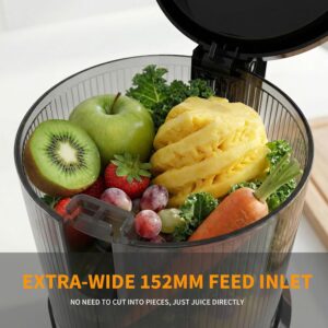 Entsafter – Slow Juicer