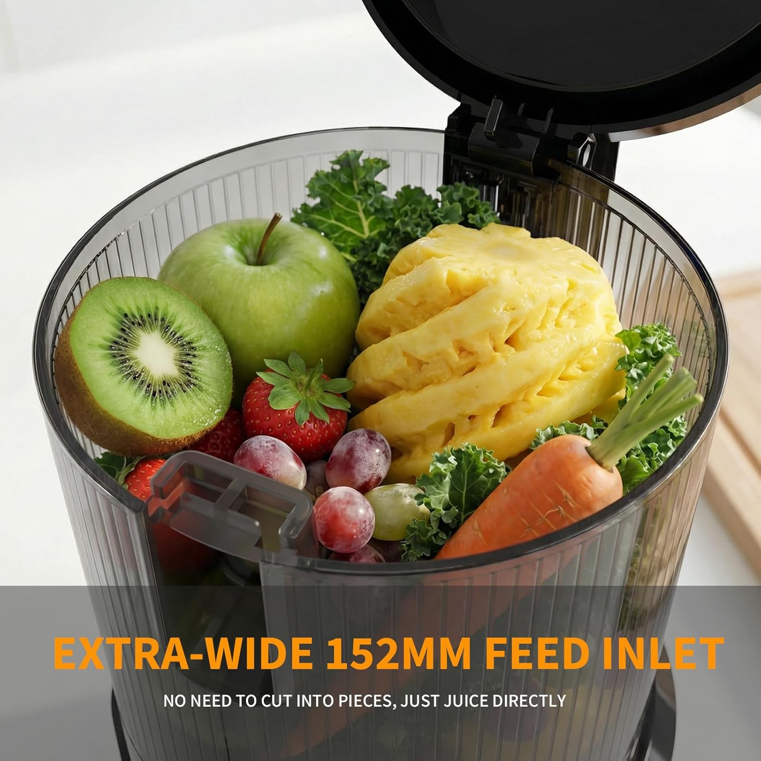 Entsafter – Slow Juicer