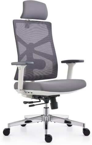 HOLLUDLE Ergonomischer Bürostuhl m...