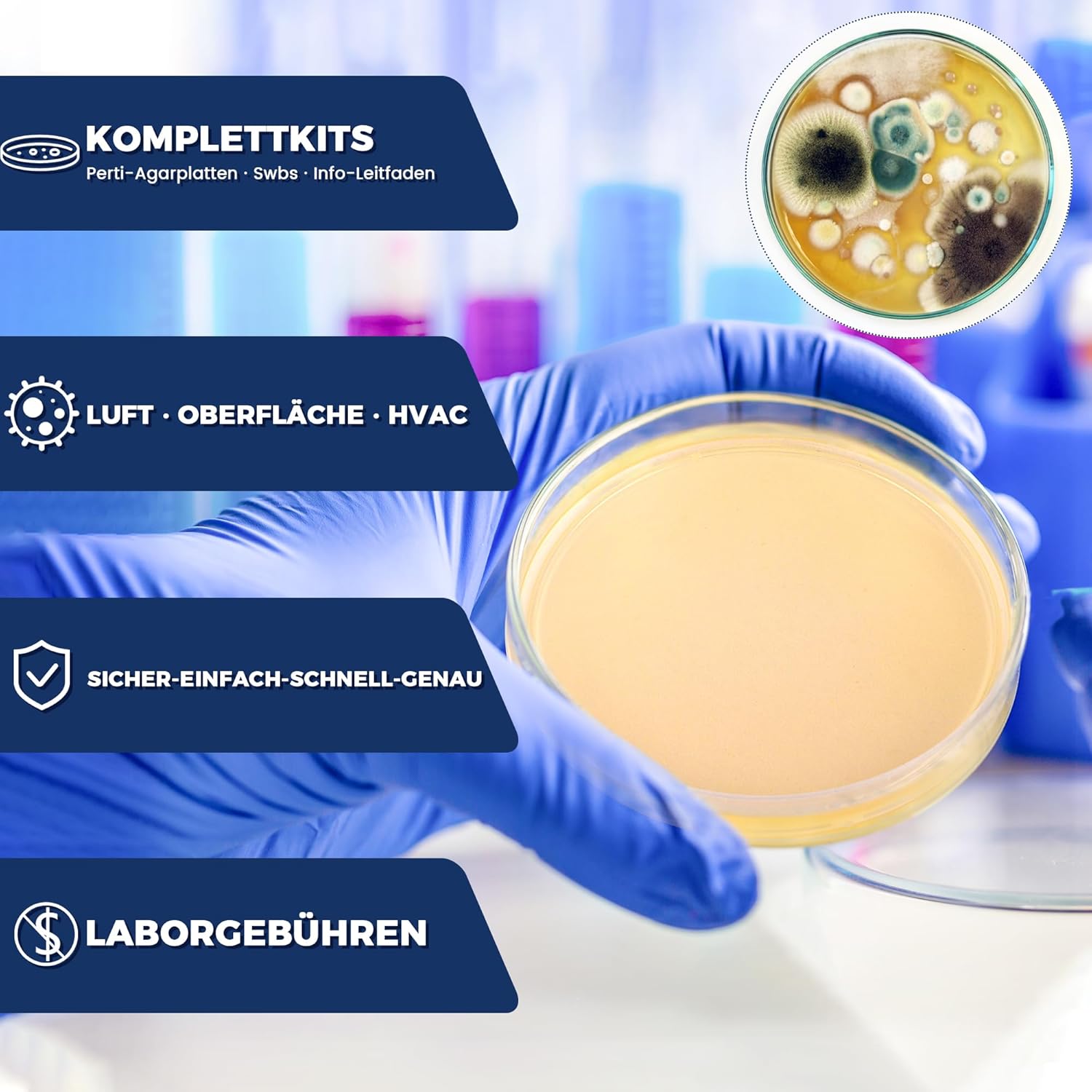 Schimmel-Test-Set für Zuhause – Schimmel-Test für 5 Räume – Schimmel-Schnelltest-Raumluft-Set für Raumluftqualität – inklusive Identifizierungsanleitung und Anleitung – Bild 5
