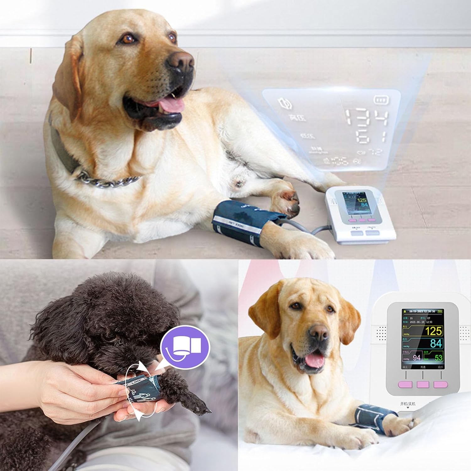 Veterinärmedizinische Ausrüstung, Manschette für digitales Blutdruckmessgerät für Tiere, Tierpflege für Hunde/Katzen/Haustiere, 3-Modus-3-Manschetten, elektronisches Blutdruckmessgerät – Bild 7
